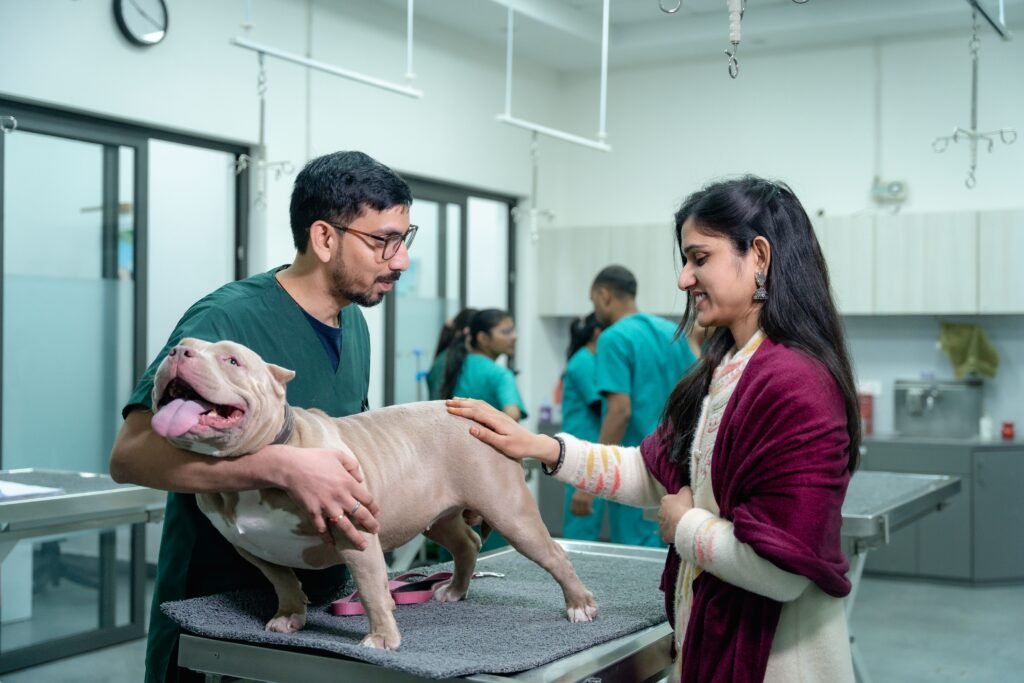 Vétérinaires à Saint-Chély-d'Apcher : cabinets, urgences et soins pour vos animaux consultation veterinaire chien illustration