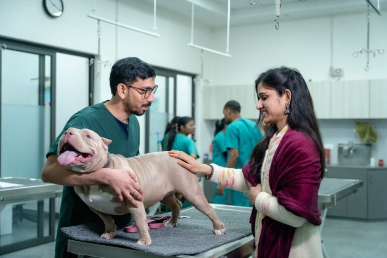 Vétérinaires à Saint-Chély-d&rsquo;Apcher : cabinets, urgences et soins pour vos animaux