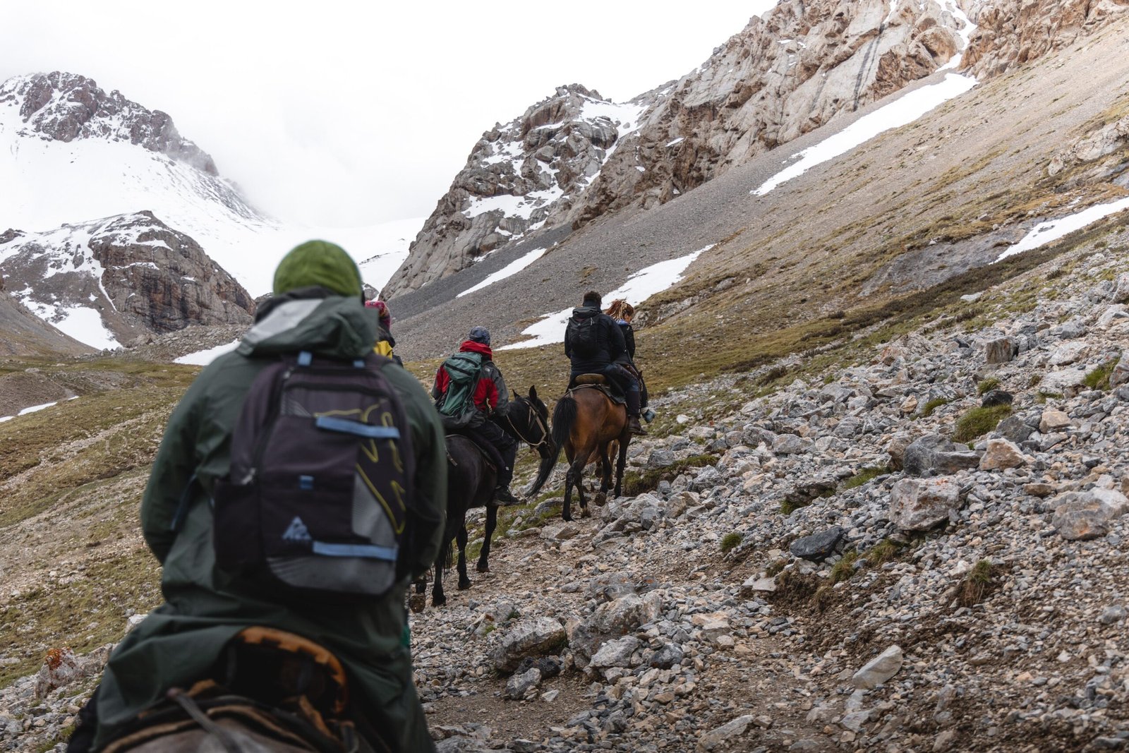 Randonnée à cheval en montagne - illustration